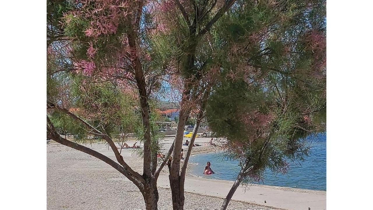 Blue Sea Vir Apartments 外观 照片